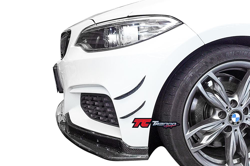 B22202  <BR>F22 E 風刀 <BR> 適用:F22 <BR> 材質:碳纖維